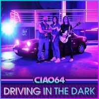 Driving in the Dark